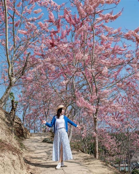 西邊在哪|東南西北中高，臺灣本島六極點:ShareLife 台灣旅行趣